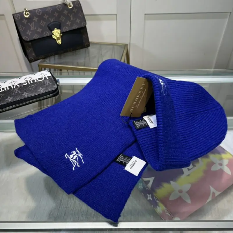 burberry hat and echapres set s_12610171